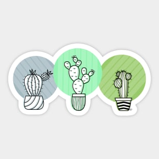 Oh the Succulents! Sticker